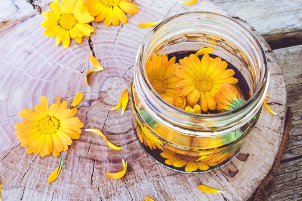 Calendula per i cani tutti i rimedi | Fido a tavola | fidoatavola.it