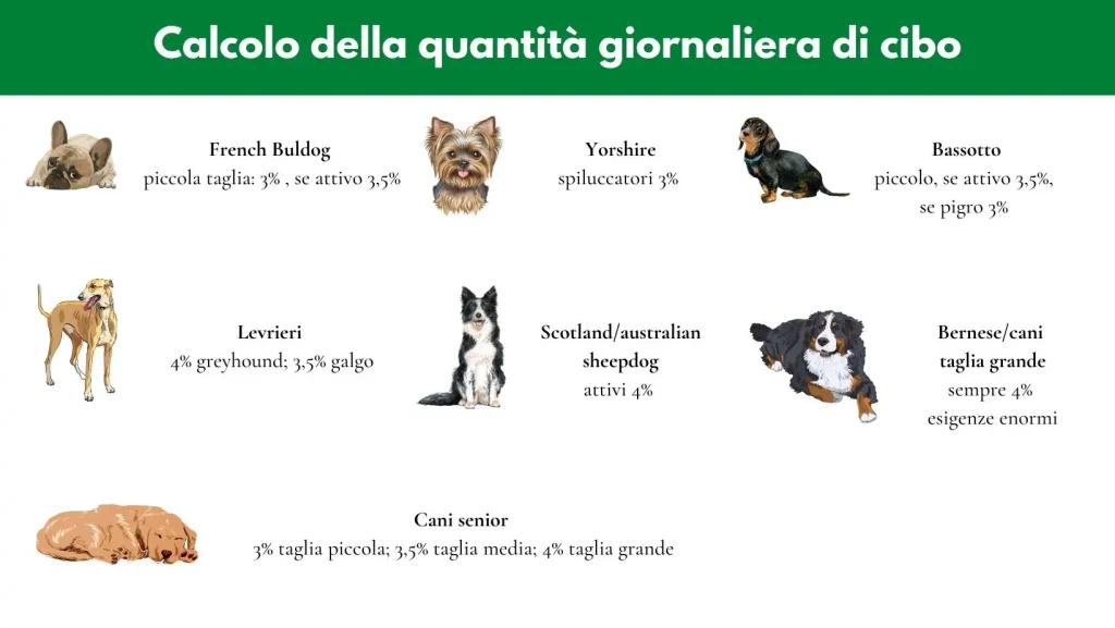 tabella quantità cibo secondo il peso dei cani